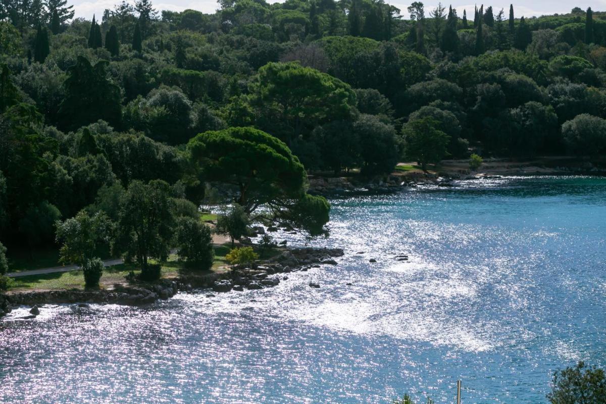 Haus Roko Διαμέρισμα Ρόβινι Εξωτερικό φωτογραφία